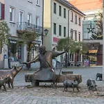 1 Zimmer-appartment Nr 11 * Wangen im Allgäu
