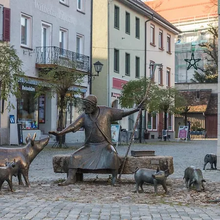 1 Zimmer-appartment Nr 11 阿尔高的万根