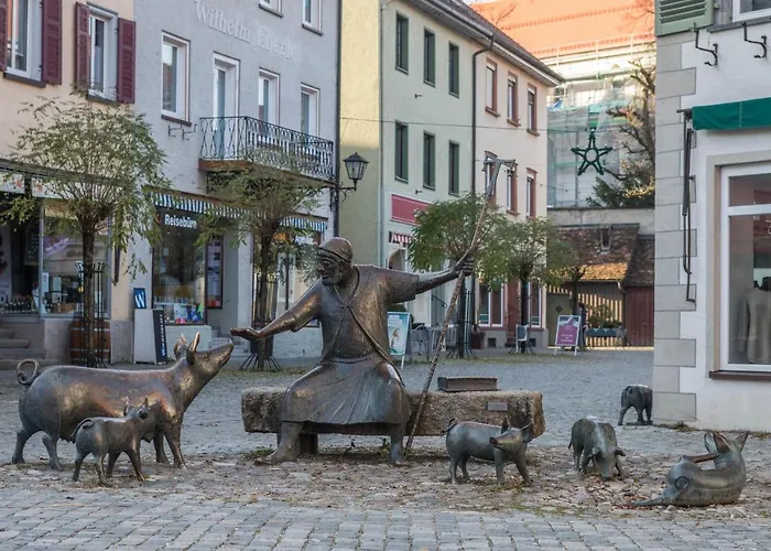 1 Zimmer-appartment Nr 11 Wangen im Allgäu